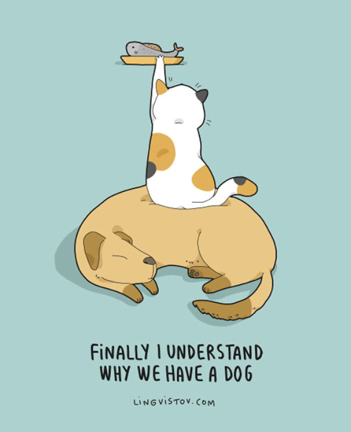 123 Fun Animal Comics By Russian Artist Duo Lingvistov 123 Fun Animal Comics By Russian Artist Duo Lingvistov