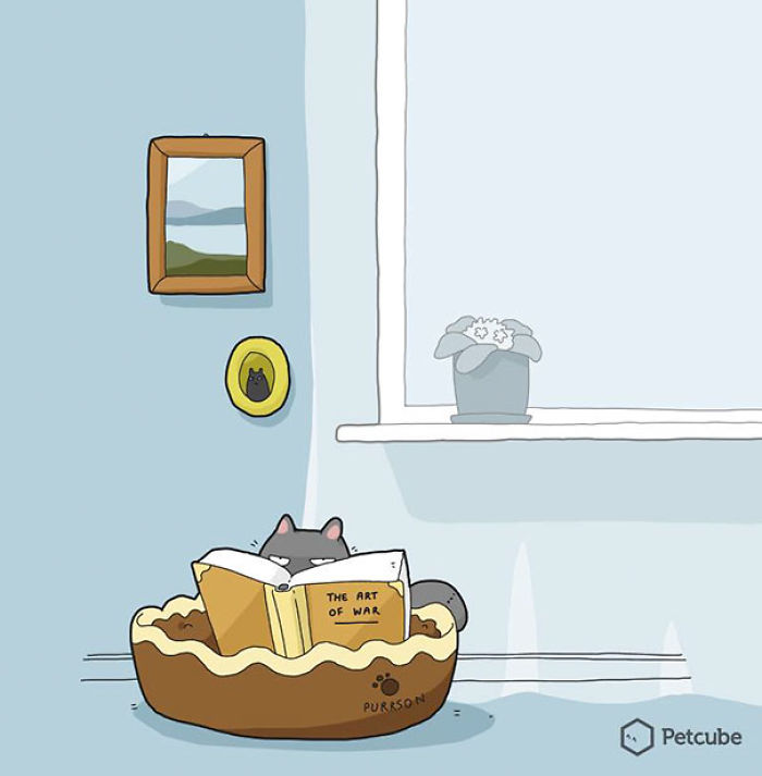 123 Fun Animal Comics By Russian Artist Duo Lingvistov 123 Fun Animal Comics By Russian Artist Duo Lingvistov