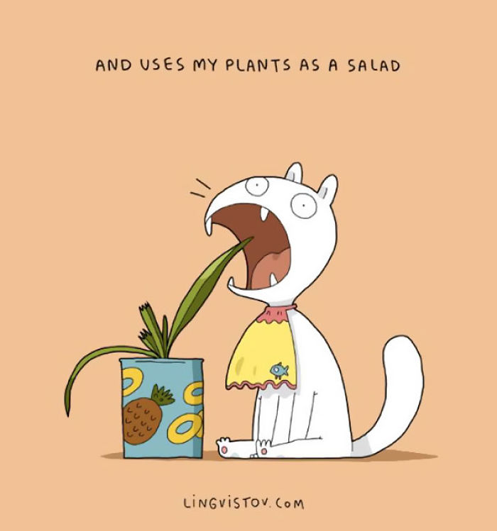 123 Fun Animal Comics By Russian Artist Duo Lingvistov 123 Fun Animal Comics By Russian Artist Duo Lingvistov