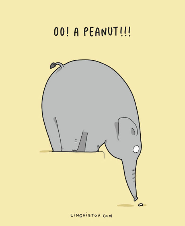 123 Fun Animal Comics By Russian Artist Duo Lingvistov 123 Fun Animal Comics By Russian Artist Duo Lingvistov