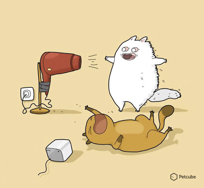 123 Fun Animal Comics By Russian Artist Duo Lingvistov 123 Fun Animal Comics By Russian Artist Duo Lingvistov