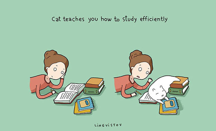 123 Fun Animal Comics By Russian Artist Duo Lingvistov 123 Fun Animal Comics By Russian Artist Duo Lingvistov