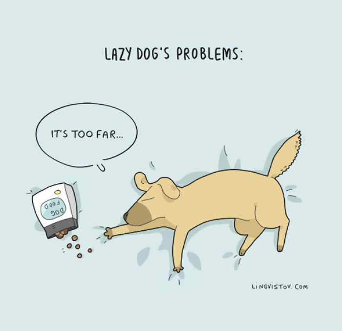 123 Fun Animal Comics By Russian Artist Duo Lingvistov 123 Fun Animal Comics By Russian Artist Duo Lingvistov