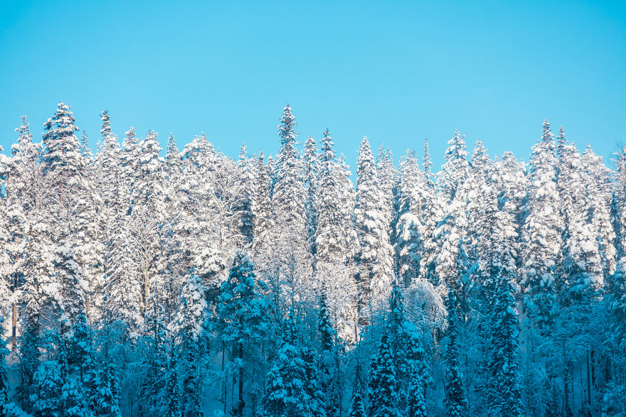 Beautiful Winter Lights Of Finland That I Captured During My 3-Month Stay Beautiful Winter Lights Of Finland That I Captured During My 3-Month Stay