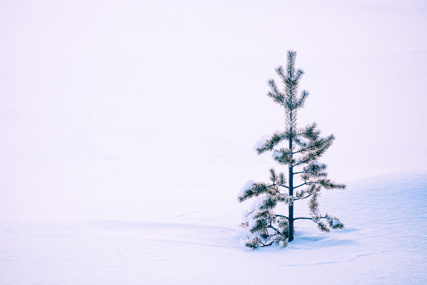 Beautiful Winter Lights Of Finland That I Captured During My 3-Month Stay Beautiful Winter Lights Of Finland That I Captured During My 3-Month Stay