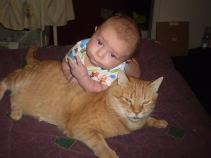 156 Badass Babies Who Don’t Care About Your Rules 156 Badass Babies Who Don’t Care About Your Rules