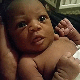 156 Badass Babies Who Don’t Care About Your Rules 156 Badass Babies Who Don’t Care About Your Rules