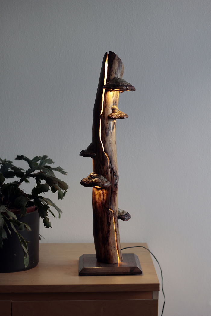I Create Unique Lamps Out Of Real Mushrooms And Mountain Crystals
