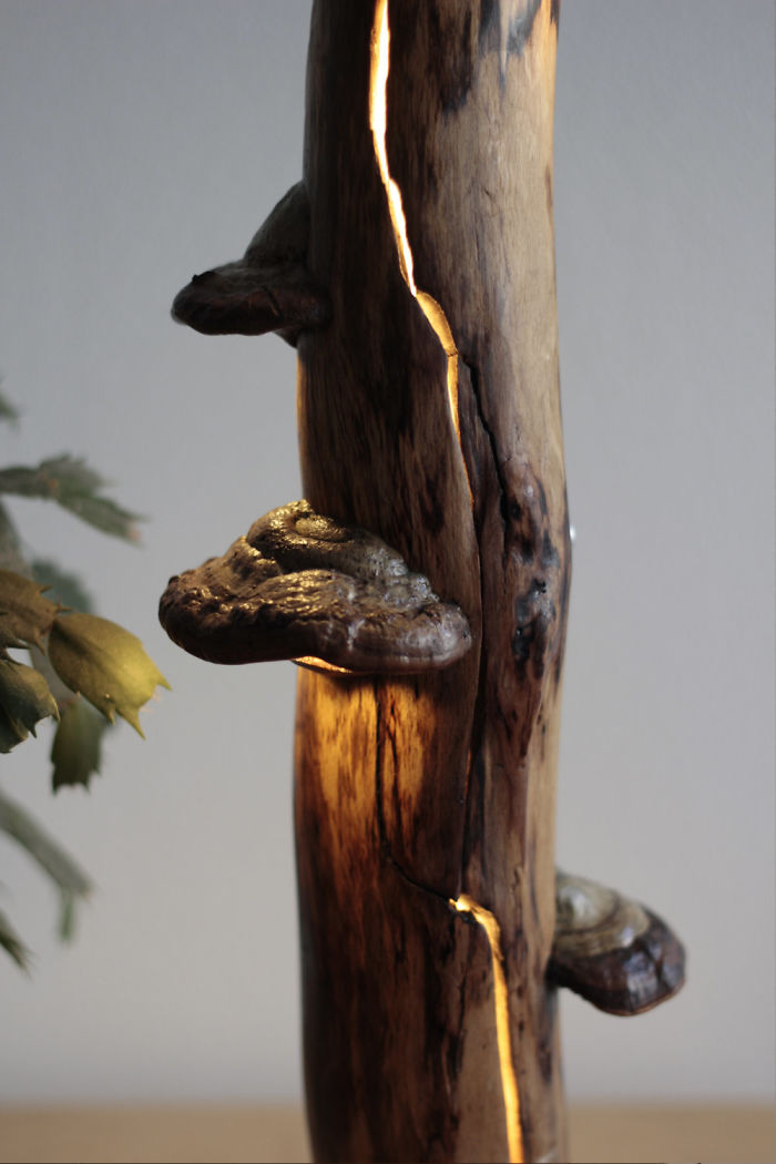 I Create Unique Lamps Out Of Real Mushrooms And Mountain Crystals