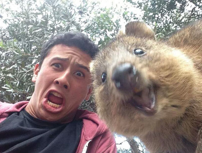 107 Animals Taking Selfies That Will Make You Smile 107 Animals Taking Selfies That Will Make You Smile