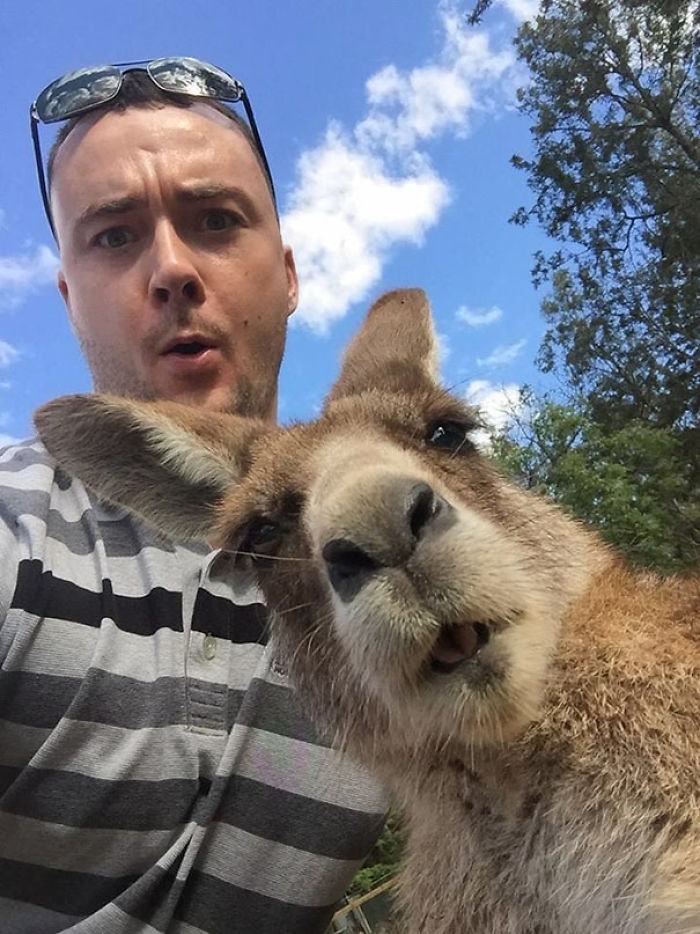 107 Animals Taking Selfies That Will Make You Smile 107 Animals Taking Selfies That Will Make You Smile
