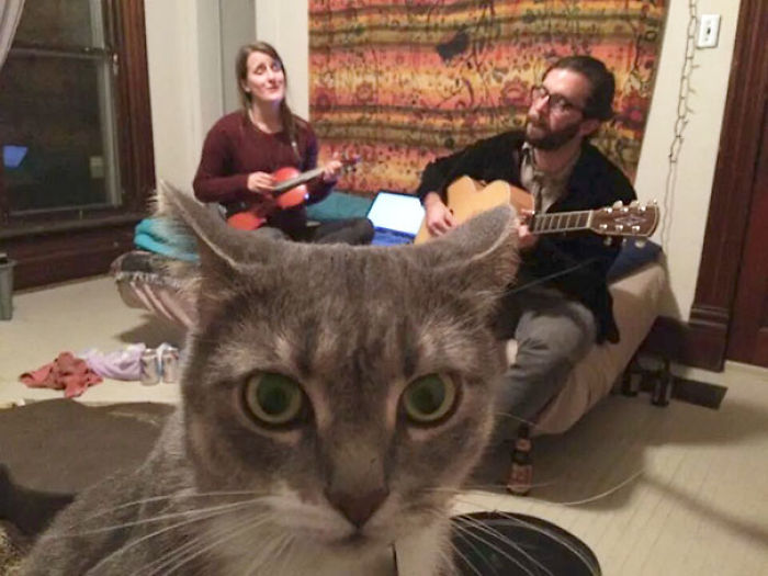 107 Animals Taking Selfies That Will Make You Smile 107 Animals Taking Selfies That Will Make You Smile