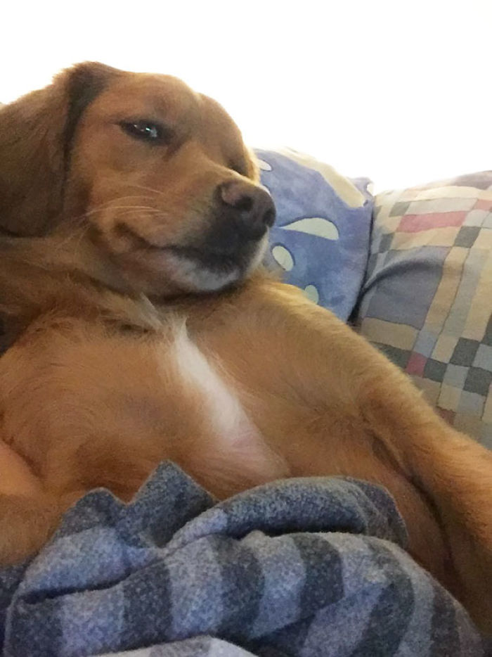 107 Animals Taking Selfies That Will Make You Smile 107 Animals Taking Selfies That Will Make You Smile