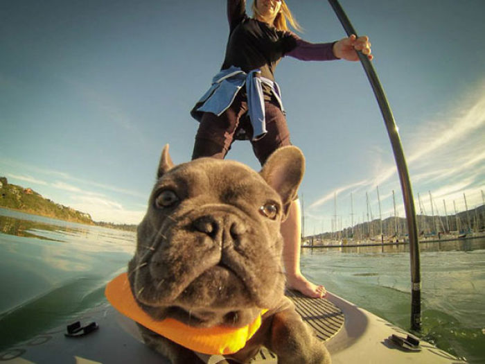 107 Animals Taking Selfies That Will Make You Smile 107 Animals Taking Selfies That Will Make You Smile