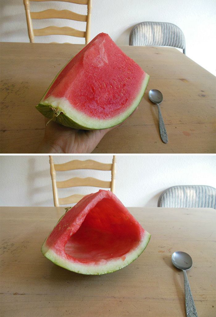 197 Hilarious Photos That Prove Siblings Are The Biggest Assholes Ever 197 Hilarious Photos That Prove Siblings Are The Biggest Assholes Ever