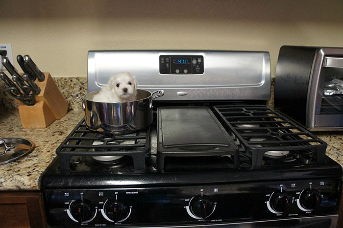 197 Hilarious Photos That Prove Siblings Are The Biggest Assholes Ever 197 Hilarious Photos That Prove Siblings Are The Biggest Assholes Ever