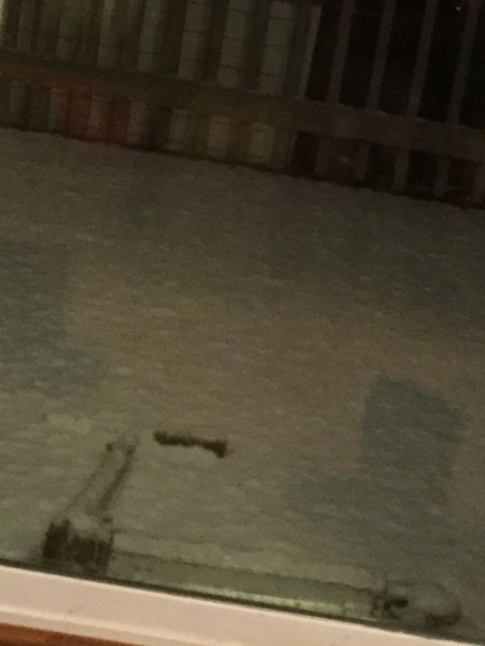 197 Hilarious Photos That Prove Siblings Are The Biggest Assholes Ever 197 Hilarious Photos That Prove Siblings Are The Biggest Assholes Ever