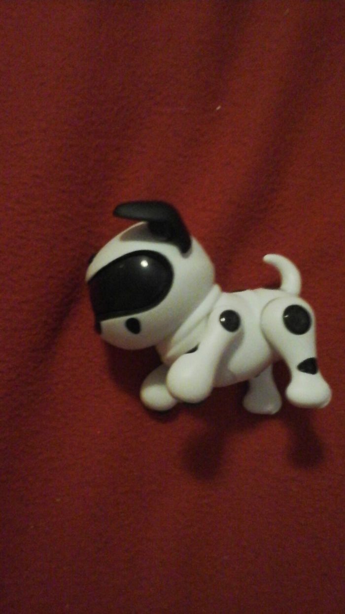 197 Hilarious Photos That Prove Siblings Are The Biggest Assholes Ever 197 Hilarious Photos That Prove Siblings Are The Biggest Assholes Ever