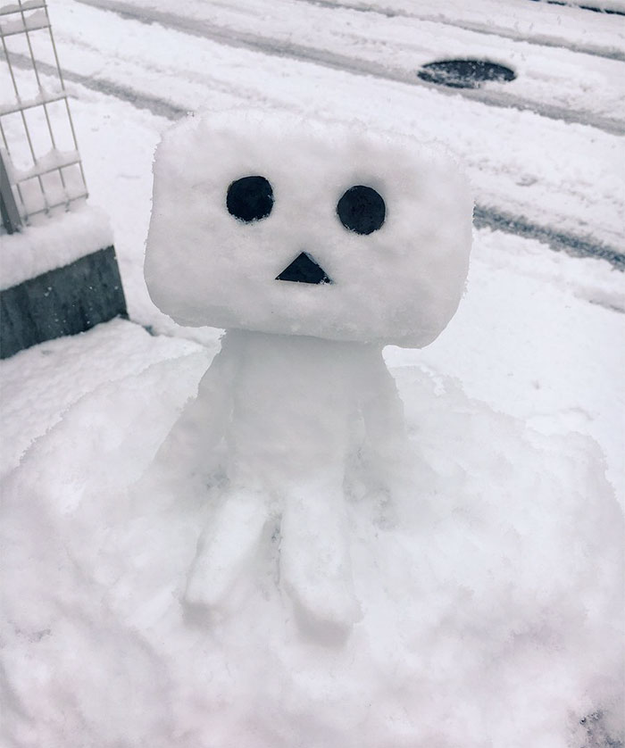 What Happens When Heavy Snowfall Hits Japan