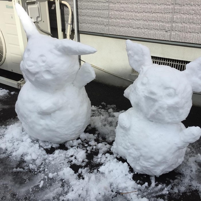 What Happens When Heavy Snowfall Hits Japan