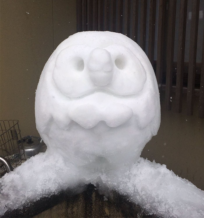 What Happens When Heavy Snowfall Hits Japan