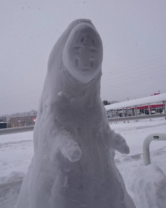 What Happens When Heavy Snowfall Hits Japan