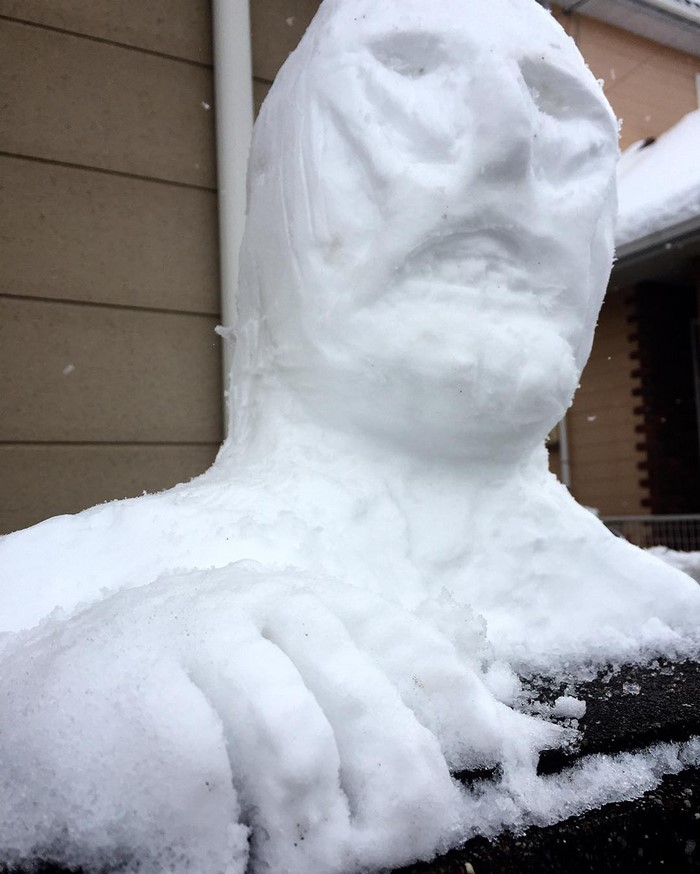 What Happens When Heavy Snowfall Hits Japan