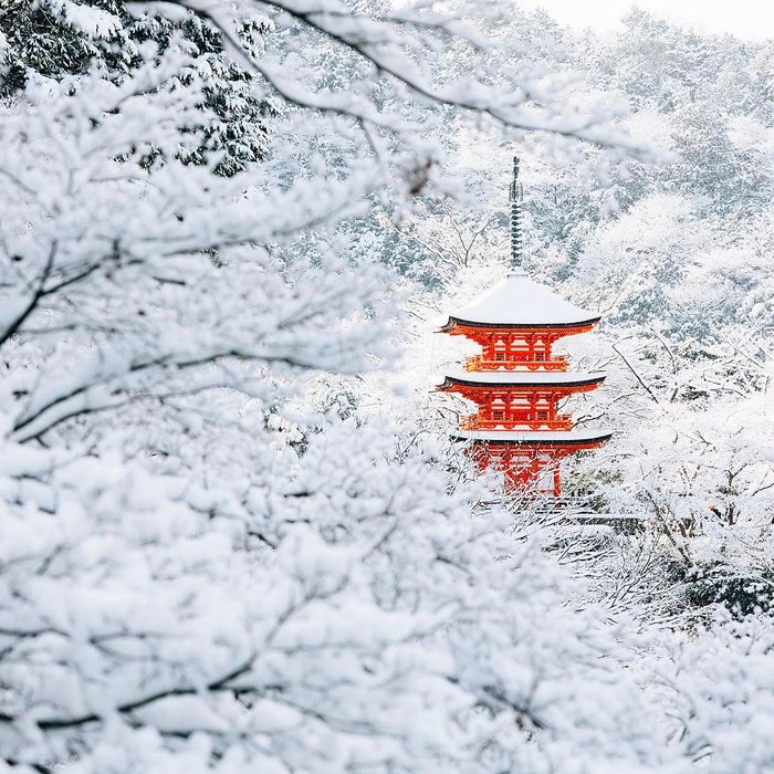Rare Heavy Snowfall Turns Kyoto Into Winter Wonderland, And The Photos Look Absolutely Magical Rare Heavy Snowfall Turns Kyoto Into Winter Wonderland, And The Photos Look Absolutely Magical