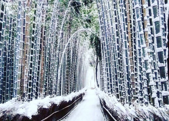 Rare Heavy Snowfall Turns Kyoto Into Winter Wonderland, And The Photos Look Absolutely Magical Rare Heavy Snowfall Turns Kyoto Into Winter Wonderland, And The Photos Look Absolutely Magical