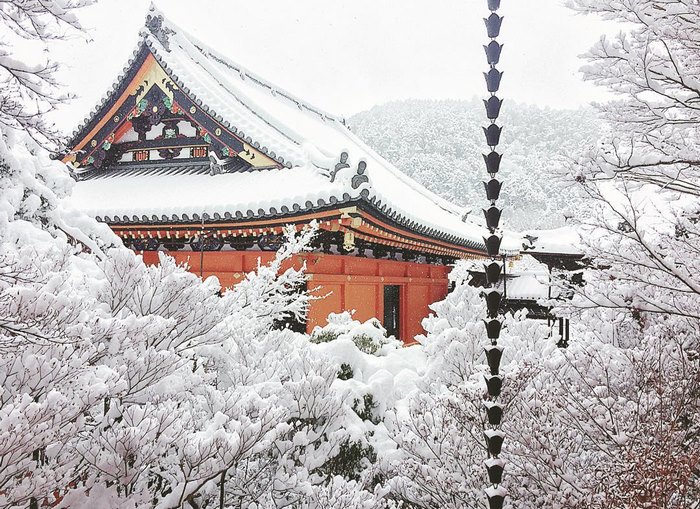 Rare Heavy Snowfall Turns Kyoto Into Winter Wonderland, And The Photos Look Absolutely Magical Rare Heavy Snowfall Turns Kyoto Into Winter Wonderland, And The Photos Look Absolutely Magical