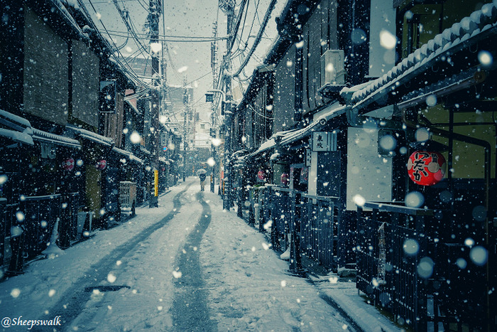 Rare Heavy Snowfall Turns Kyoto Into Winter Wonderland, And The Photos Look Absolutely Magical Rare Heavy Snowfall Turns Kyoto Into Winter Wonderland, And The Photos Look Absolutely Magical