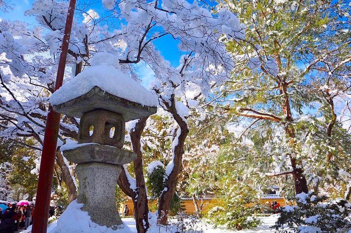 Rare Heavy Snowfall Turns Kyoto Into Winter Wonderland, And The Photos Look Absolutely Magical Rare Heavy Snowfall Turns Kyoto Into Winter Wonderland, And The Photos Look Absolutely Magical