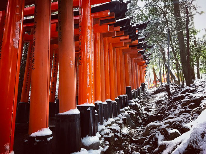 Rare Heavy Snowfall Turns Kyoto Into Winter Wonderland, And The Photos Look Absolutely Magical Rare Heavy Snowfall Turns Kyoto Into Winter Wonderland, And The Photos Look Absolutely Magical