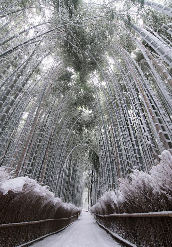 Rare Heavy Snowfall Turns Kyoto Into Winter Wonderland, And The Photos Look Absolutely Magical Rare Heavy Snowfall Turns Kyoto Into Winter Wonderland, And The Photos Look Absolutely Magical