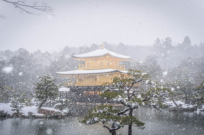 Rare Heavy Snowfall Turns Kyoto Into Winter Wonderland, And The Photos Look Absolutely Magical Rare Heavy Snowfall Turns Kyoto Into Winter Wonderland, And The Photos Look Absolutely Magical