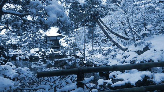 Rare Heavy Snowfall Turns Kyoto Into Winter Wonderland, And The Photos Look Absolutely Magical Rare Heavy Snowfall Turns Kyoto Into Winter Wonderland, And The Photos Look Absolutely Magical