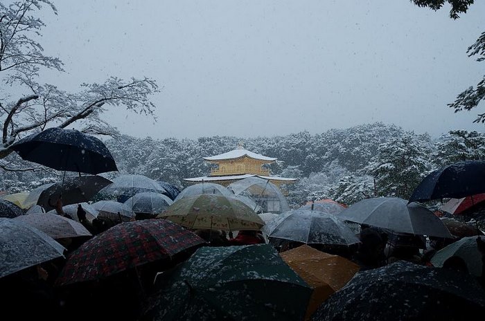 Rare Heavy Snowfall Turns Kyoto Into Winter Wonderland, And The Photos Look Absolutely Magical Rare Heavy Snowfall Turns Kyoto Into Winter Wonderland, And The Photos Look Absolutely Magical