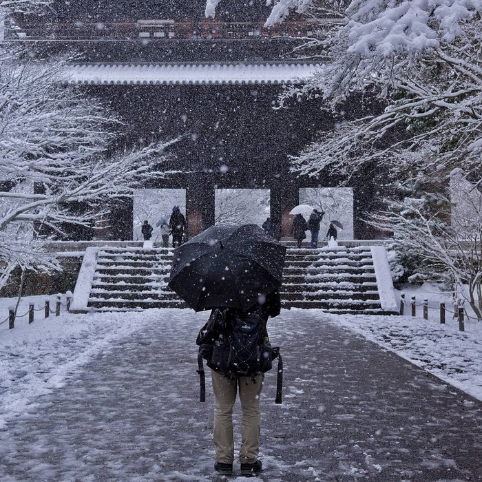 Rare Heavy Snowfall Turns Kyoto Into Winter Wonderland, And The Photos Look Absolutely Magical Rare Heavy Snowfall Turns Kyoto Into Winter Wonderland, And The Photos Look Absolutely Magical
