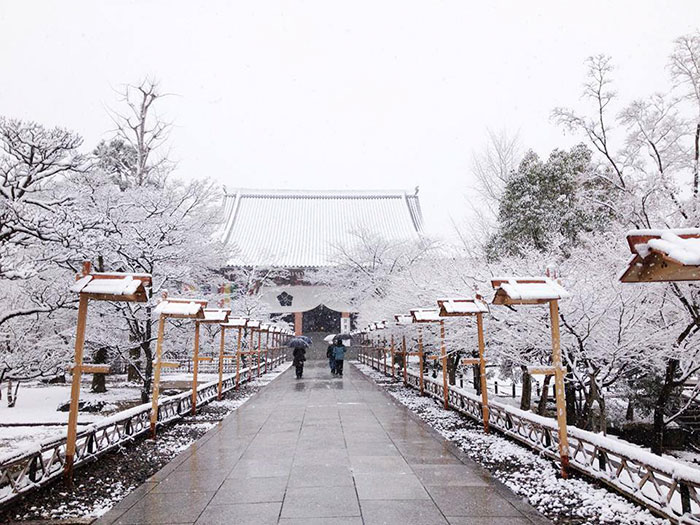 Rare Heavy Snowfall Turns Kyoto Into Winter Wonderland, And The Photos Look Absolutely Magical Rare Heavy Snowfall Turns Kyoto Into Winter Wonderland, And The Photos Look Absolutely Magical
