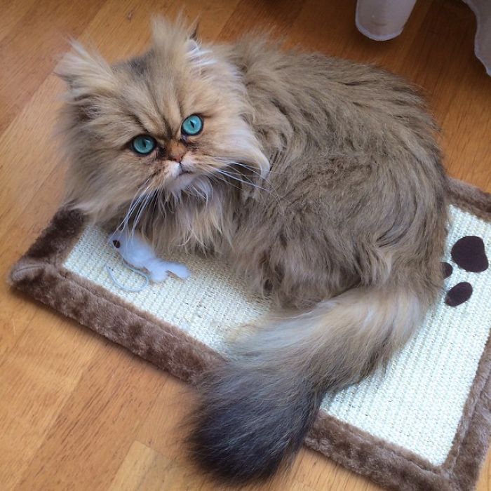 Two Dutch Ladies Who Can Look Right Into Your Soul! Two Dutch Ladies Who Can Look Right Into Your Soul!