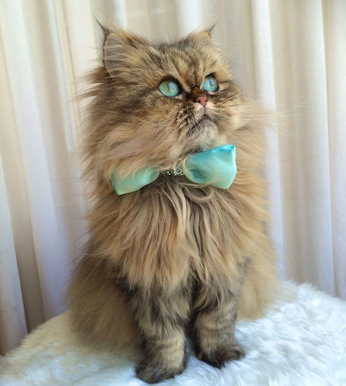 Two Dutch Ladies Who Can Look Right Into Your Soul! Two Dutch Ladies Who Can Look Right Into Your Soul!