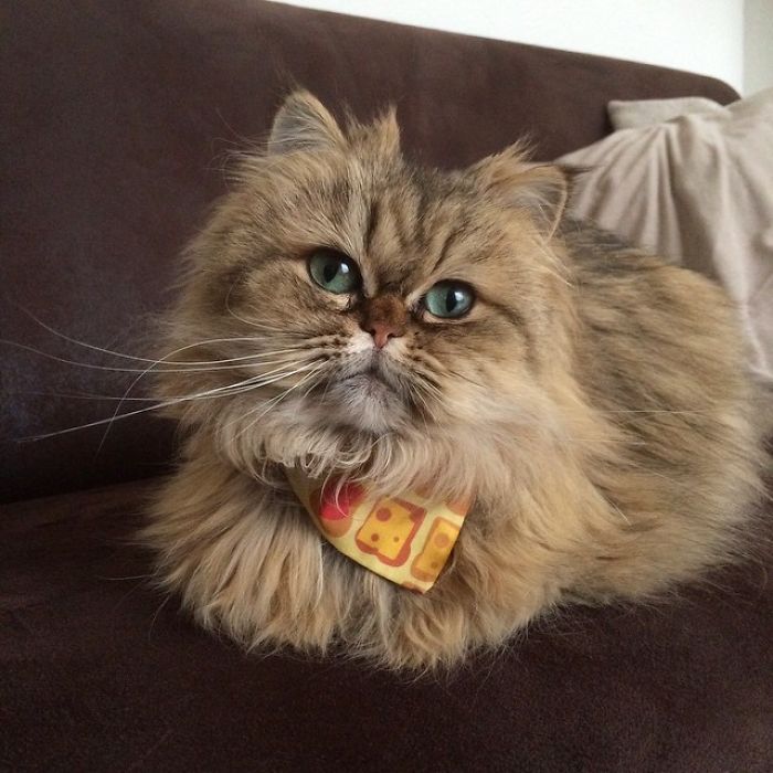 Two Dutch Ladies Who Can Look Right Into Your Soul! Two Dutch Ladies Who Can Look Right Into Your Soul!