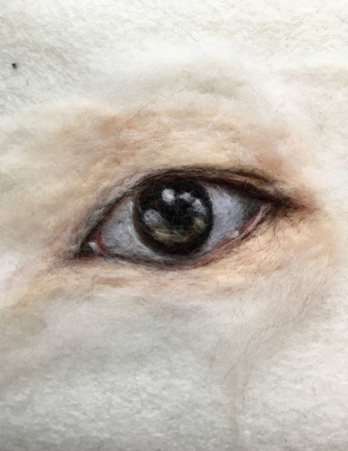 I’m “Painting” 100 Eyes In 100 Days In Wool I’m “Painting” 100 Eyes In 100 Days In Wool