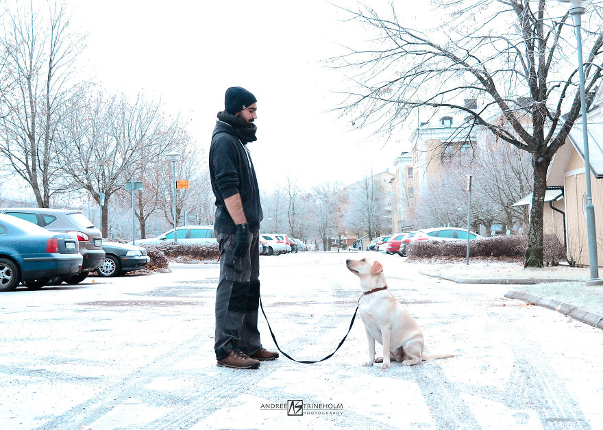 During Every Trip I Take A Picture Of My Husband And Our Labrador In The Same Position During Every Trip I Take A Picture Of My Husband And Our Labrador In The Same Position