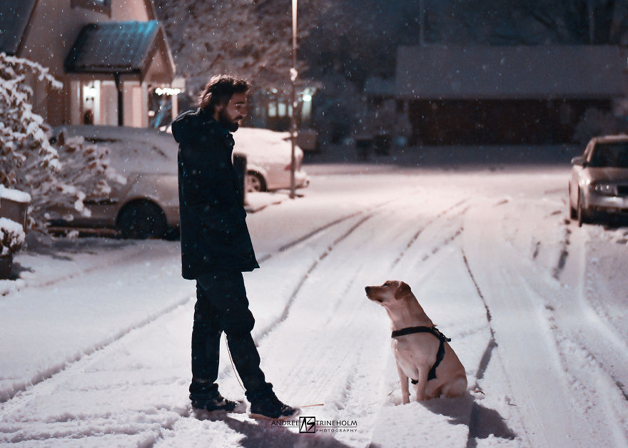 During Every Trip I Take A Picture Of My Husband And Our Labrador In The Same Position During Every Trip I Take A Picture Of My Husband And Our Labrador In The Same Position