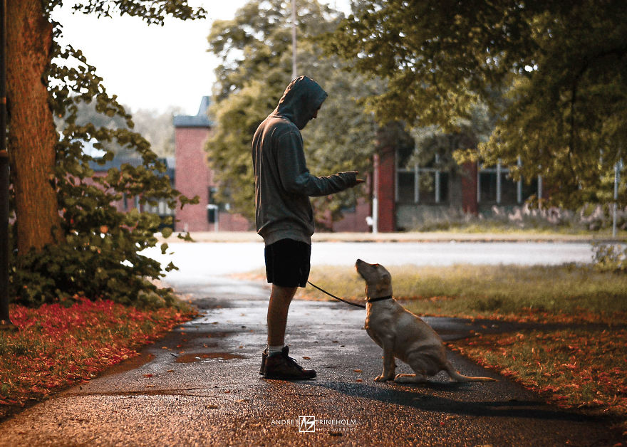 During Every Trip I Take A Picture Of My Husband And Our Labrador In The Same Position During Every Trip I Take A Picture Of My Husband And Our Labrador In The Same Position