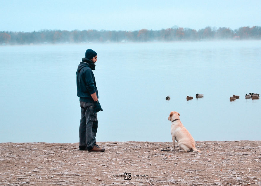 During Every Trip I Take A Picture Of My Husband And Our Labrador In The Same Position During Every Trip I Take A Picture Of My Husband And Our Labrador In The Same Position