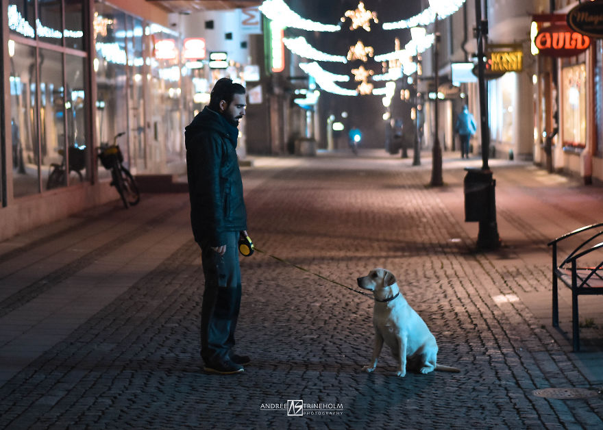 During Every Trip I Take A Picture Of My Husband And Our Labrador In The Same Position During Every Trip I Take A Picture Of My Husband And Our Labrador In The Same Position