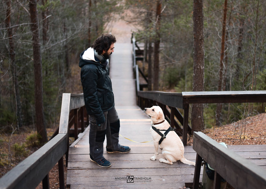 During Every Trip I Take A Picture Of My Husband And Our Labrador In The Same Position During Every Trip I Take A Picture Of My Husband And Our Labrador In The Same Position
