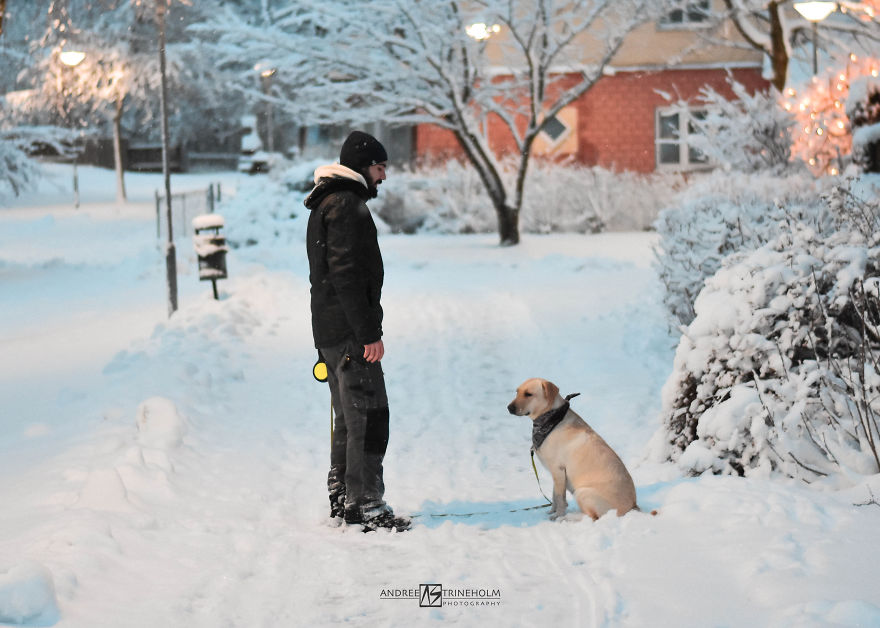 During Every Trip I Take A Picture Of My Husband And Our Labrador In The Same Position During Every Trip I Take A Picture Of My Husband And Our Labrador In The Same Position